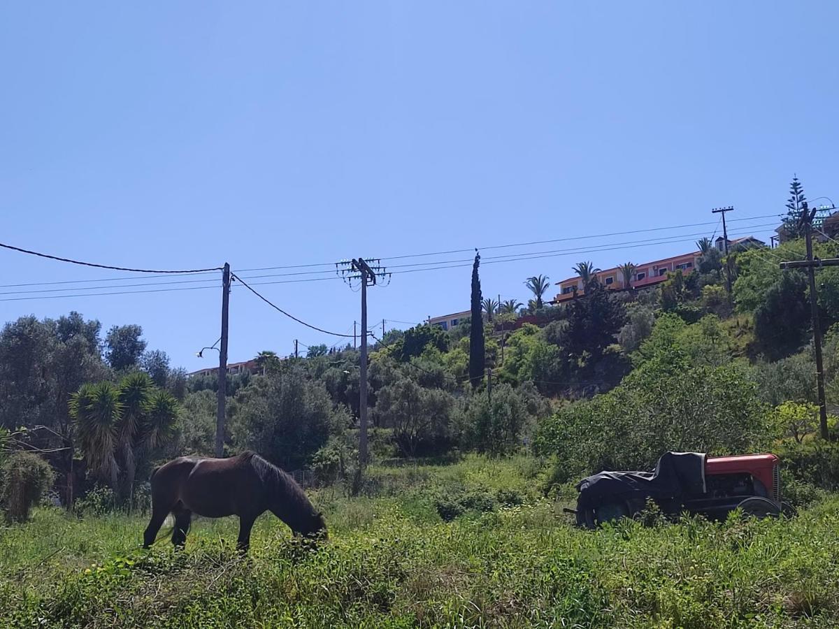Lagadi Apartment 5 Λάσση Εξωτερικό φωτογραφία