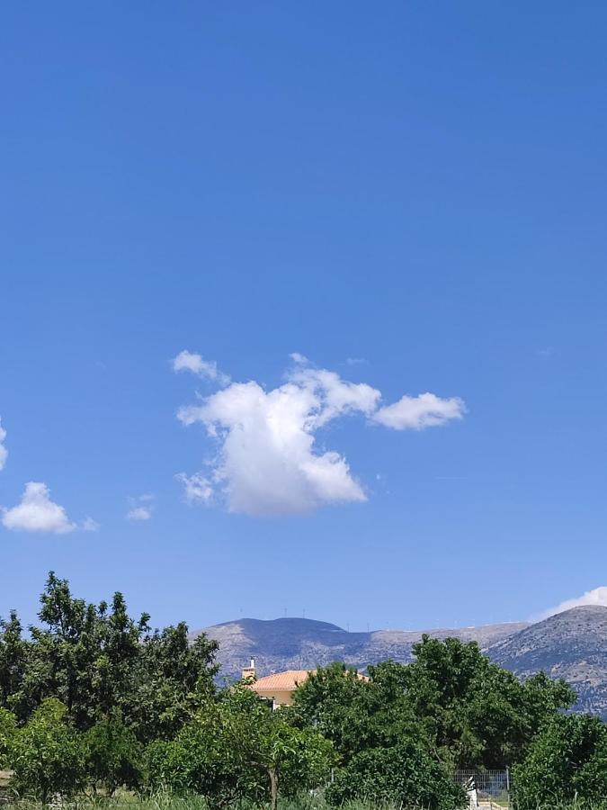 Lagadi Apartment 5 Λάσση Εξωτερικό φωτογραφία